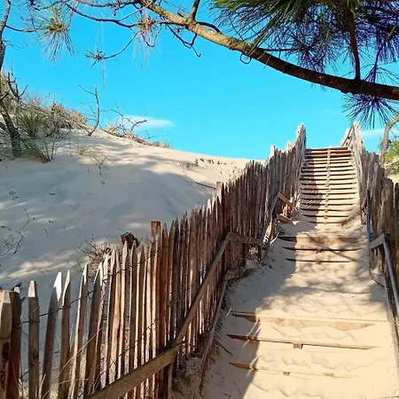Horizon-2 By Interhome Apartment Mimizan-Plage